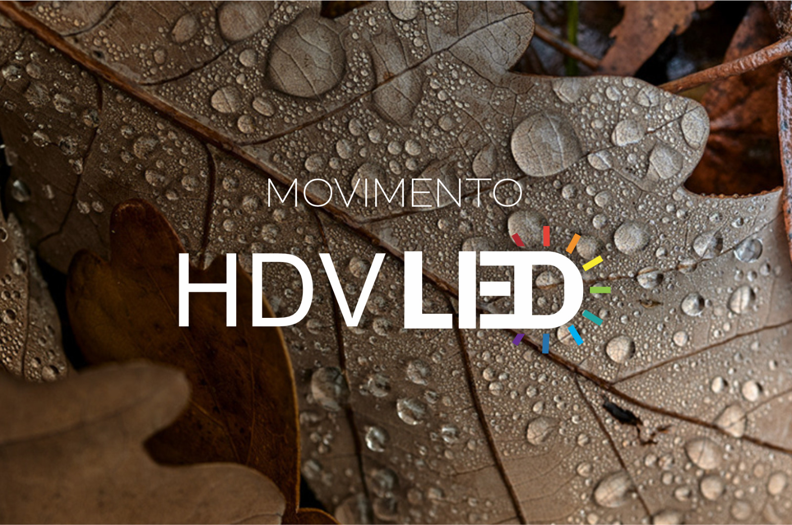 Imagem 7