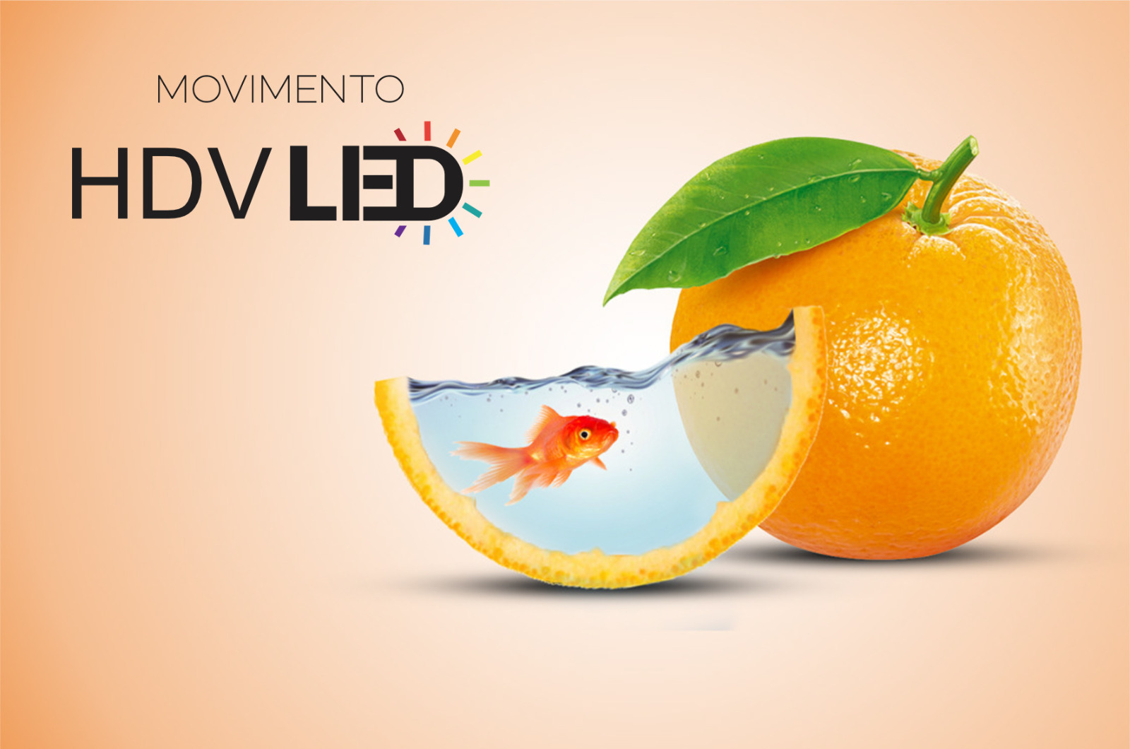 Imagem 9